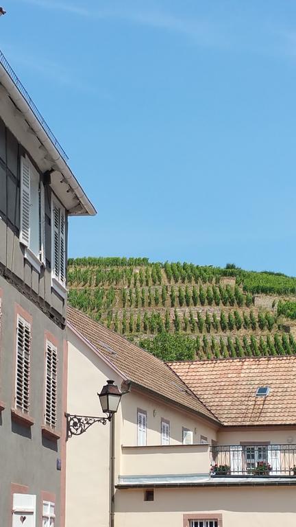 Ferienwohnung L Escale Des Grands Crus Ribeauvillé Exterior foto